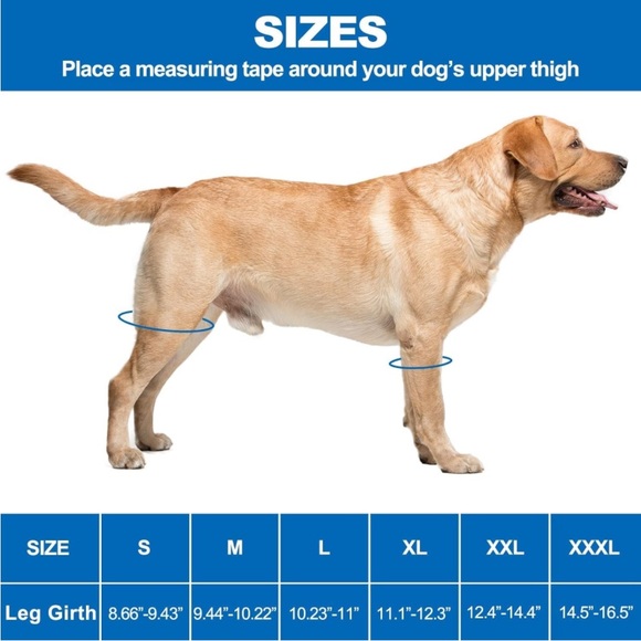 New Dog Knee Brace, Dog Leg Braces for Back Leg for ACL, Knee Cap Dislocation S - Picture 3 of 13